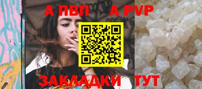 a pvp Кингисепп