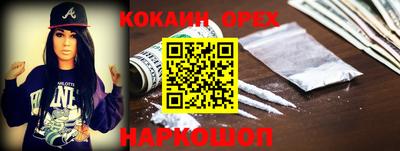 a pvp Кингисепп
