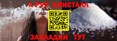 a pvp Кингисепп