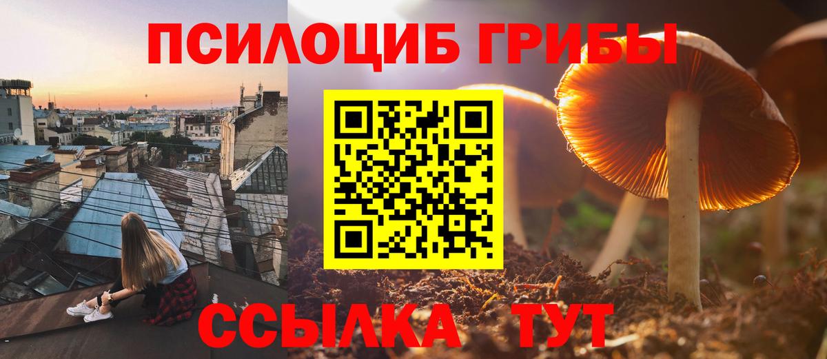 Лыткарино  Псилоцибиновые грибы ЛСД  Вход с VPN 